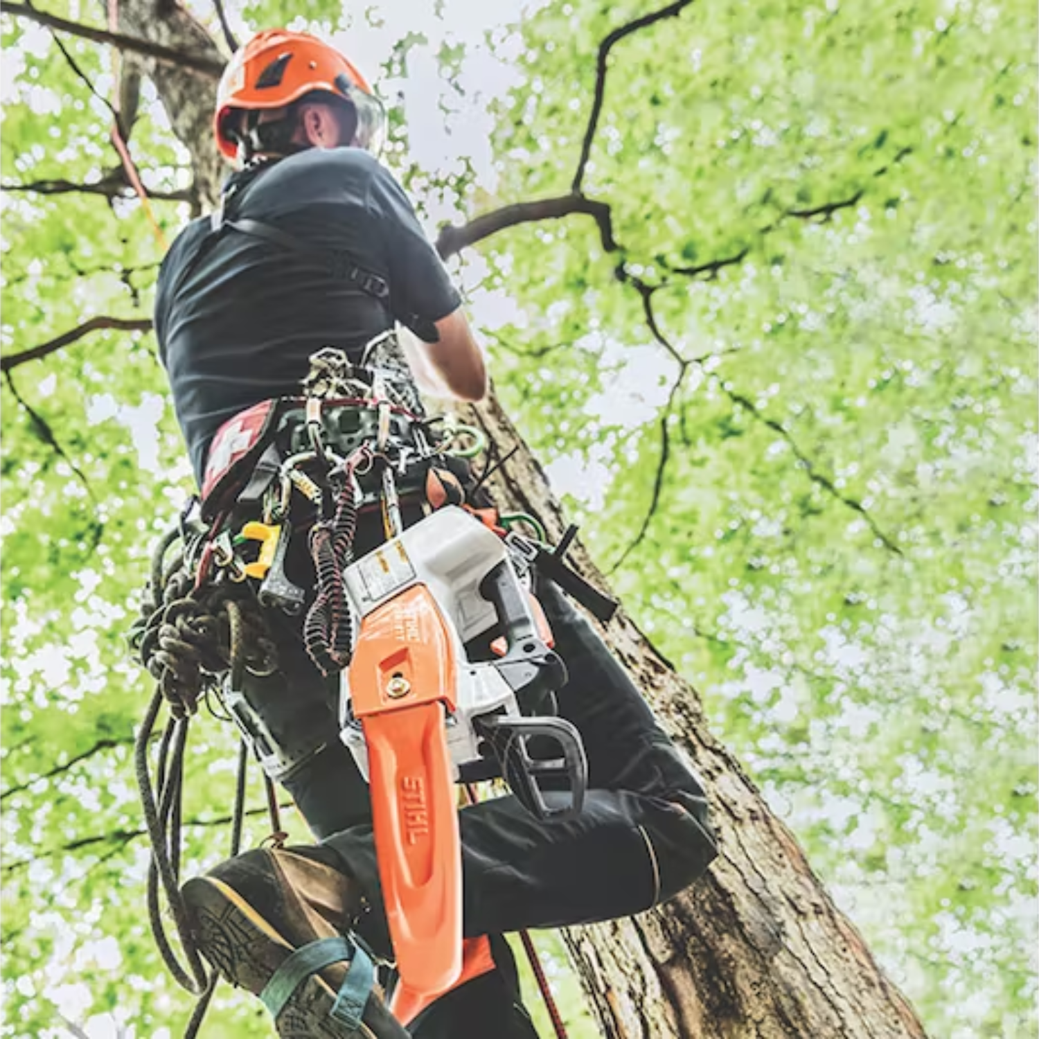 Stihl MSA 161 T Chain Saw Quickstop - Main Street Mower | Winter Garden, Ocala, Clermont