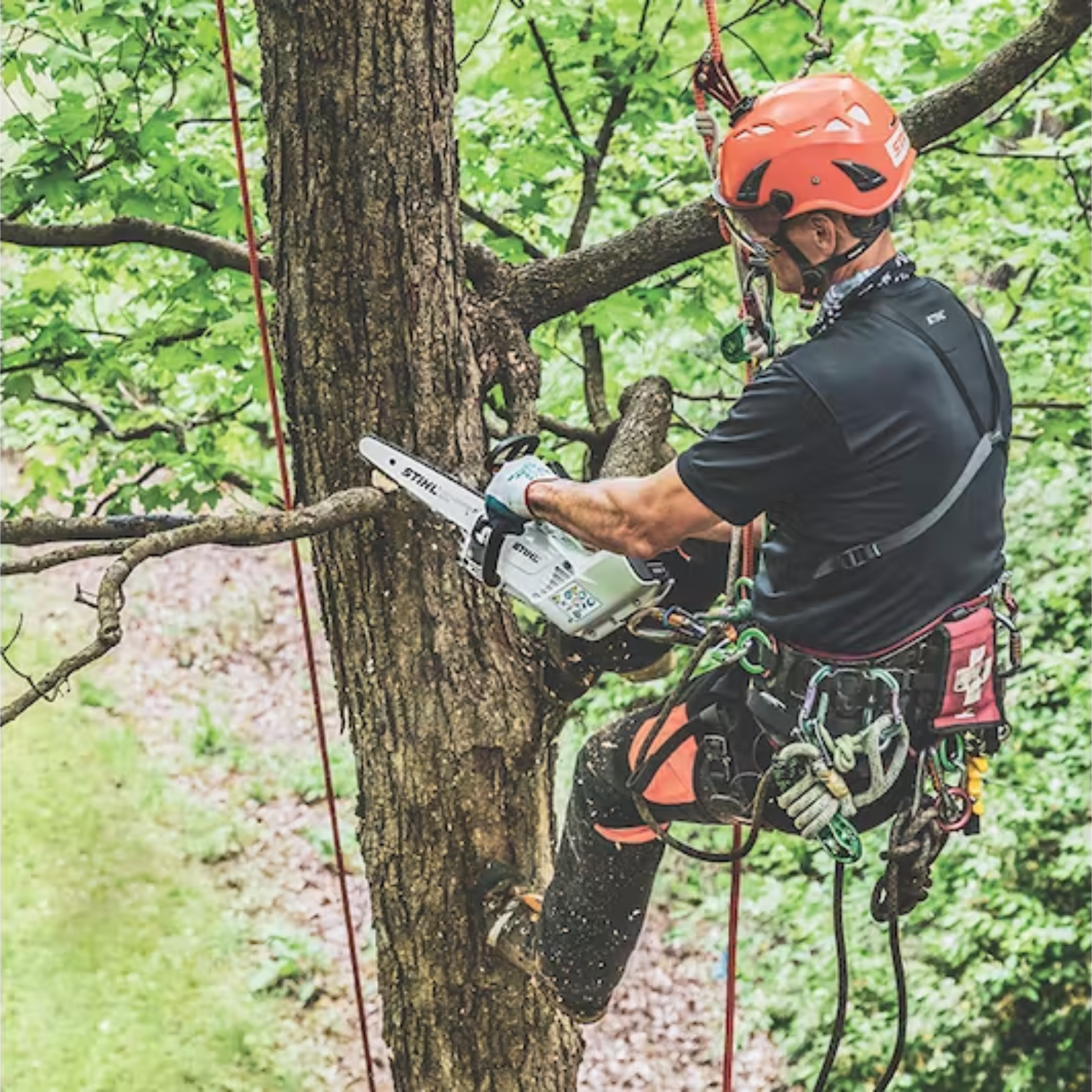 STIHL MSA 161 T Battery Powered Chainsaw with Quickstop STIHL MSA 161 T Battery Powered Chainsaw with Quickstop
