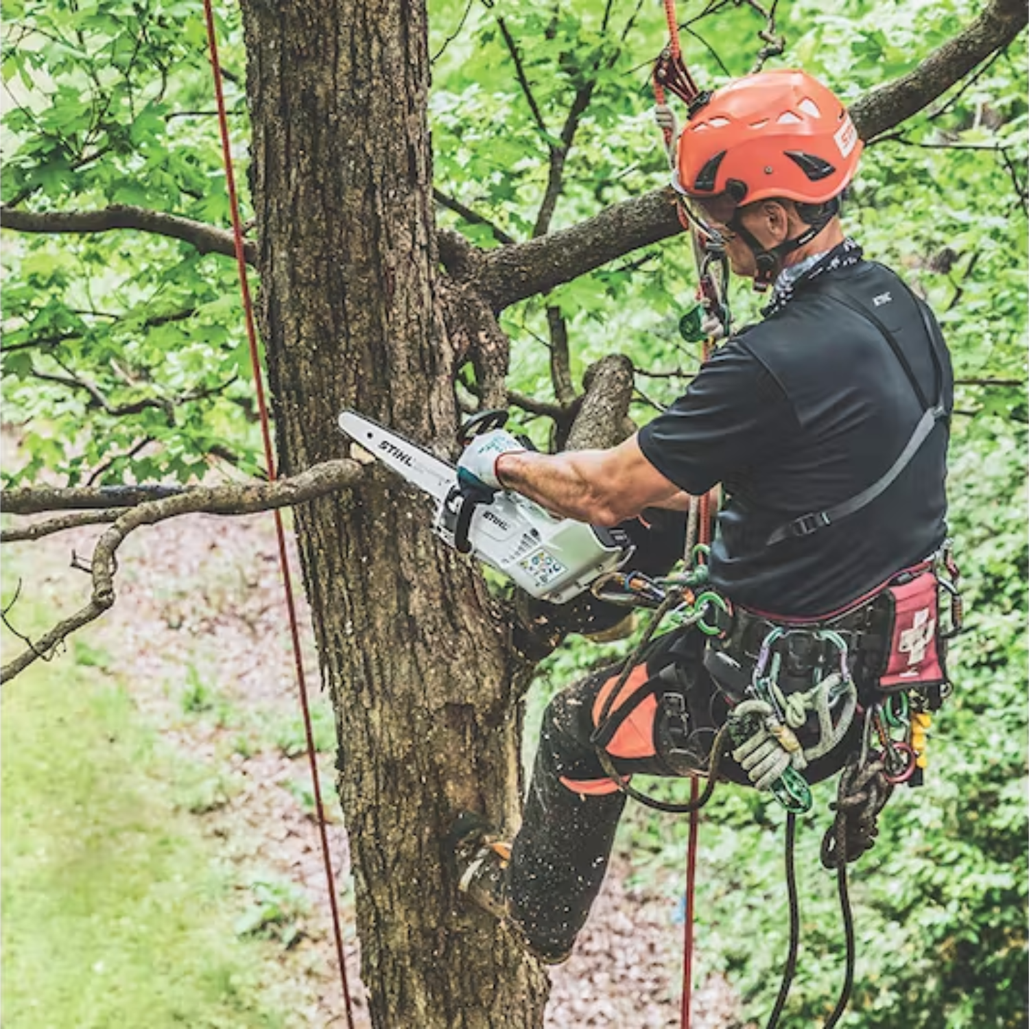 Stihl MSA 161 T Chain Saw Quickstop - Main Street Mower | Winter Garden, Ocala, Clermont