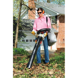 STIHL SH 56 C-E Gas Powered Handheld Blower / Vac with Easy2Start | Main Street Mower | Winter Garden | Clermont | Ocala