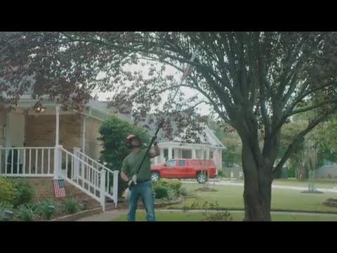 STIHL HTA 50 Battery Powered Pole Pruner - Tool Only | Main Street Mower | Winter Garden | Clermont | Ocala