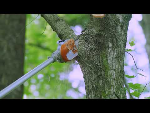 STIHL HT 131 Telescoping Gas Powered Pole Pruner | Main Street Mower | Winter Garden | Clermont | Ocala