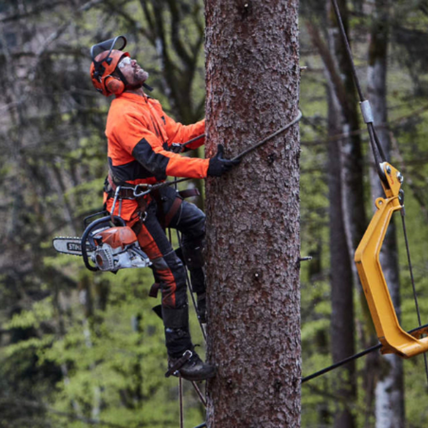 STIHL MS 462 Gas Powered Chainsaw w/Quickstop | Main Street Mower | Winter Garden | Clermont | Ocala