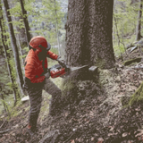 STIHL MS 462 Gas Powered Chainsaw w/Quickstop | Main Street Mower | Winter Garden | Clermont | Ocala