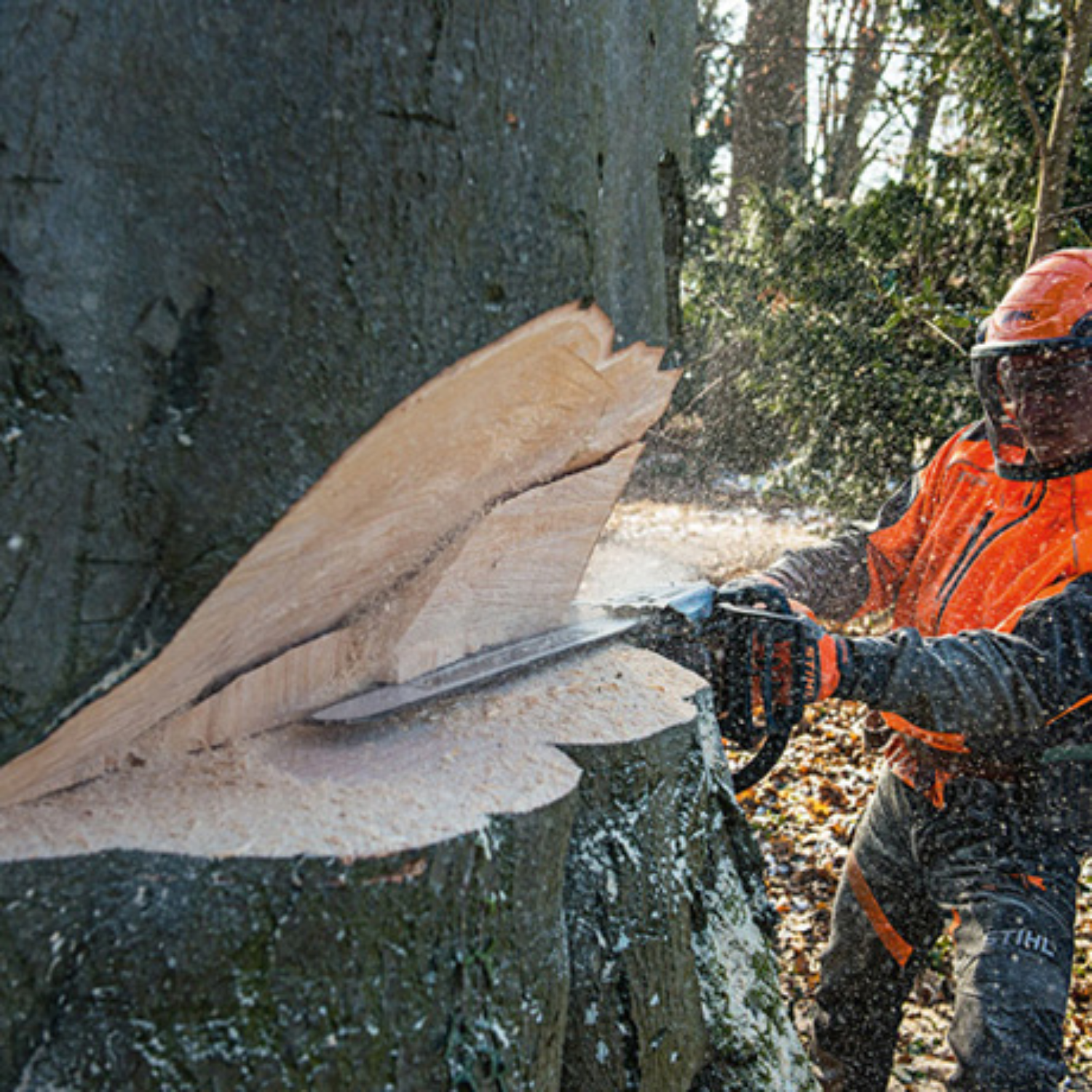 STIHL MS 661CM 36 Gas Powered Chainsaw with M-Tronic | Main Street Mower | Winter Garden | Clermont | Ocala