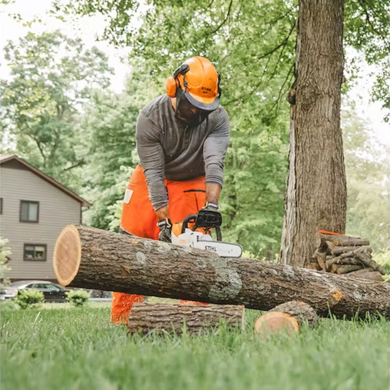 Stihl MSA 220 C-B Chain Saw - Main Street Mower | Winter Garden, Ocala, Clermont